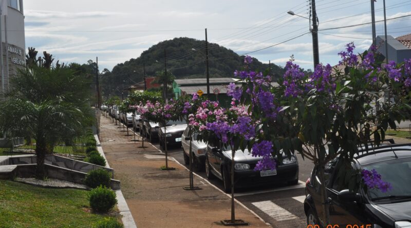 TRABALHOS REALIZADOS PELA SECRETARIA DE URBANISMO